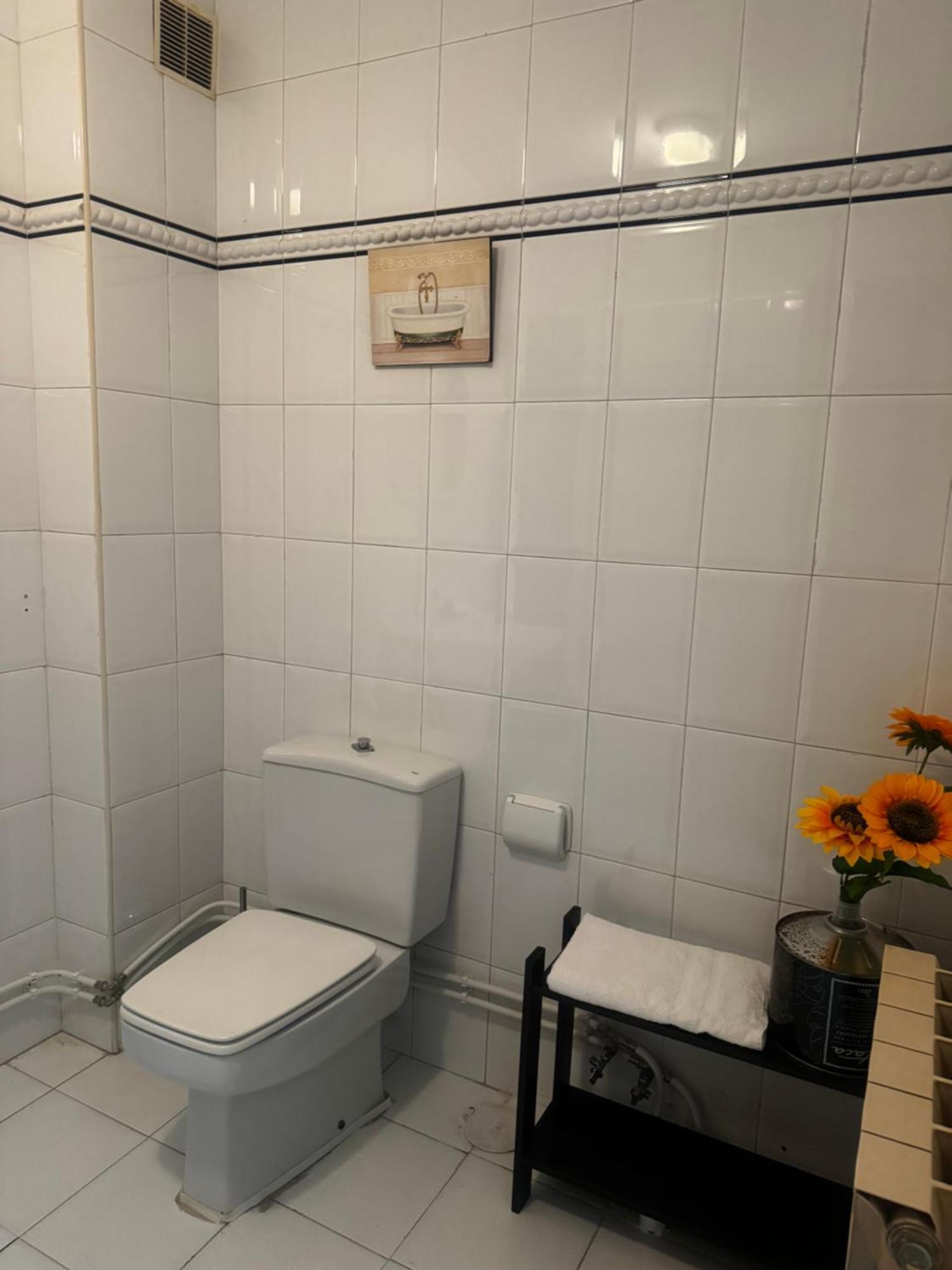 Pimo Plus La Pola * Salas (Asturias)